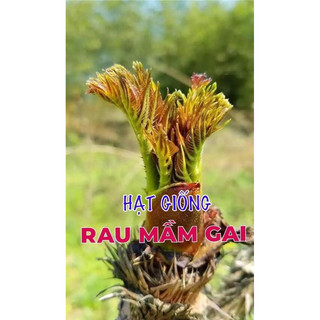 Hạt giống rau mầm gai - vua của các loại rau 50hạt