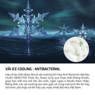 Havas | Nệm foam SummerCool |