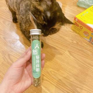 Cỏ catnip cỏ bạc hà dạng ống cho mèo