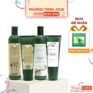  Cặp dầu gội gừng hà thủ ô 400ml + dầu xả gừng hà thủ ô 250ml kích mọc tóc Weilaiya Zingiber Officinale Ju