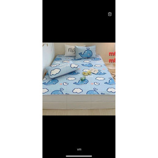 Bộ chiếu cao su non mềm mát