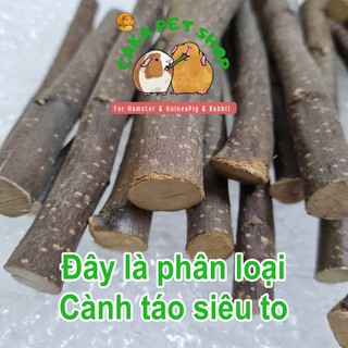 Cành táo mài răng loại siêu to cho các bé Thỏ chuột Hamster Chuột Lang gặm rất tốt cho sức khoẻ răng lợi