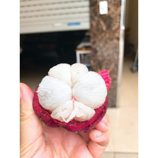 combo 3  cân măng cụt thái
