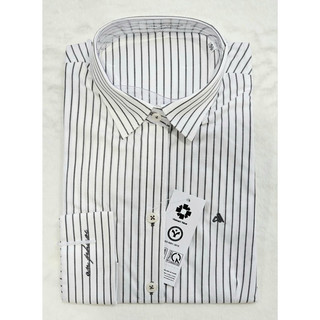 Sơ mi nữ An phước chuẩn dáng công sở