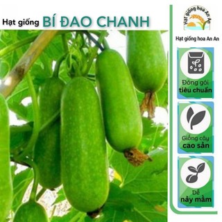 Hạt giống bí đao chanh cao sản. Dễ trồng, siêu trái, hàng chính hãng công ty