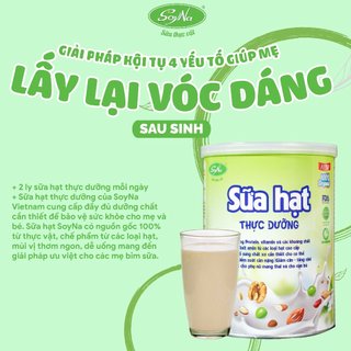 Sữa Hạt Thực Dưỡng SoyNa 800g