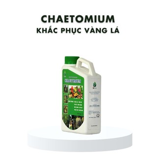 Link phụ - Phòng nấm sinh học - PH Việt Nam - Chaetomium - Phân bón vi lượng đánh bay vàng lá, thán thư, đốm nâu đốm đen