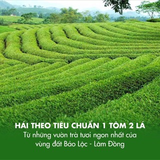 Trà Tâm Châu Oolong (Ô long) gói 250g hút chân không date mới