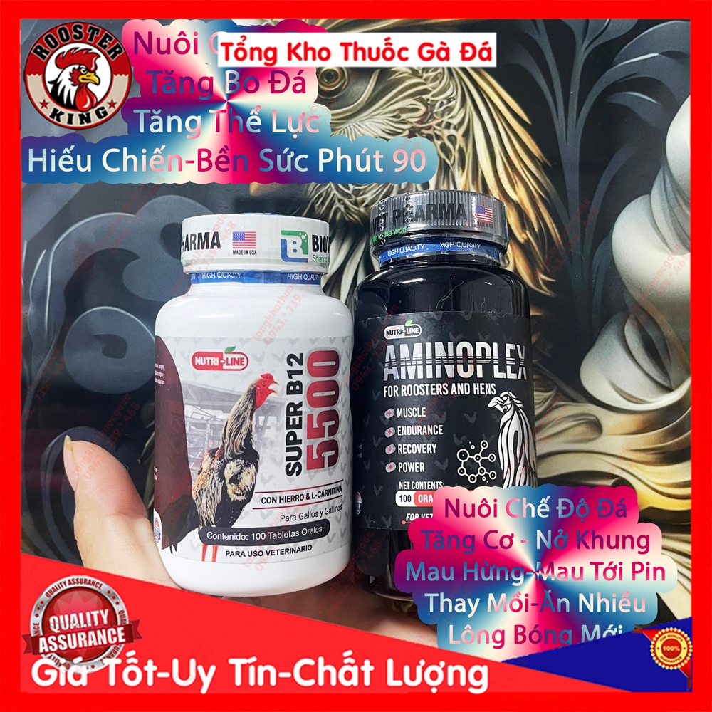 Combo Nuôi Gà Chế Độ Đá B12 5500 + Amino Thế Hệ Mới Đá Súc Cây Láp