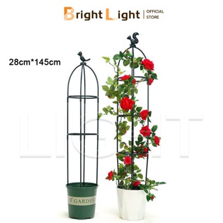 Khung đỡ dây leo trồng hoa hồng leo, hoa leo Thích hợp trồng cây và làm cảnh.