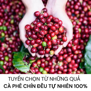 Cà phê bột pha phin Chồn No.1 - Đắng đậm, thơm, béo, chuyên pha cà phê đen (100g & 500g)