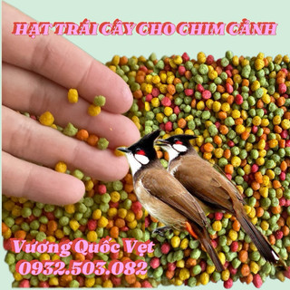 Hạt trái cây cho chim cảnh zupreem gói 1kg