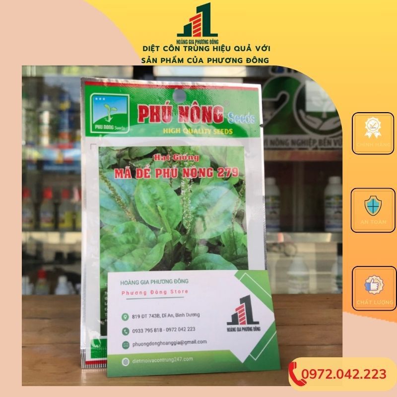 Hạt giống rau mã đề PN 2g
