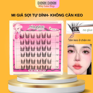 Mi giả tách sợi sẵn keo, mi giả cụm chùm tự nối tự nhiên, mi tai thỏ, mi giả anime, mi chùm mắt ướt
