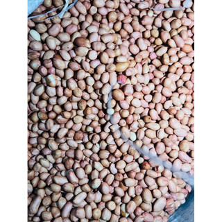 Lạc trắng quê 500g hút chân không hạt đều đẹp