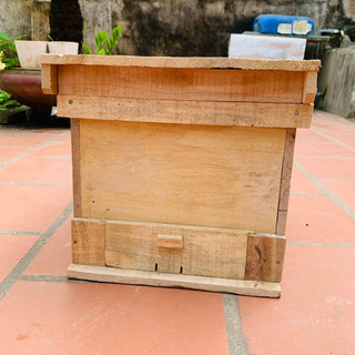 Thùng nuôi ong nội gỗ sung có kèm vách ngăn