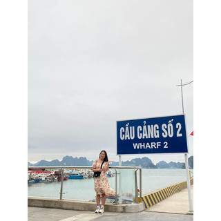 đầm chốt live