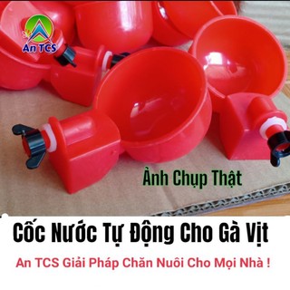 An TCS cốc nước tự động gà vịt