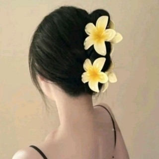 🌸🌼🌺 KẸP TÓC ĐẸP 12 Màu 3 Kích Cỡ 🧚‍♀️🧚‍♂️🧚