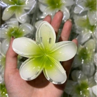 🌸🌼🌺 KẸP TÓC ĐẸP 12 Màu 3 Kích Cỡ 🧚‍♀️🧚‍♂️🧚