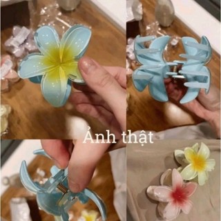 🌸🌼🌺 KẸP TÓC ĐẸP 12 Màu 3 Kích Cỡ 🧚‍♀️🧚‍♂️🧚