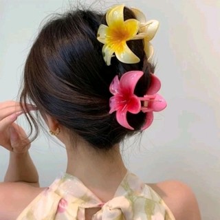 🌸🌼🌺 KẸP TÓC ĐẸP 12 Màu 3 Kích Cỡ 🧚‍♀️🧚‍♂️🧚