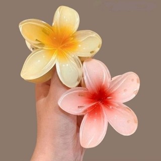 🌸🌼🌺 KẸP TÓC ĐẸP 12 Màu 3 Kích Cỡ 🧚‍♀️🧚‍♂️🧚