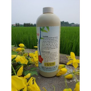 Nước Rửa Bát Safelife