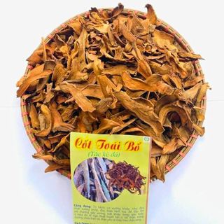 Tắc kè đá, cốt toái bổ khô từ cốt toái bổ rừng tươi giúp mạnh gân xương, hoạt huyết dưỡng máu, cầm máu, bổ thận