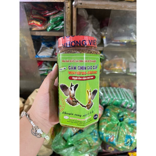 Cám chào mào Khánh Long 🐦🐦