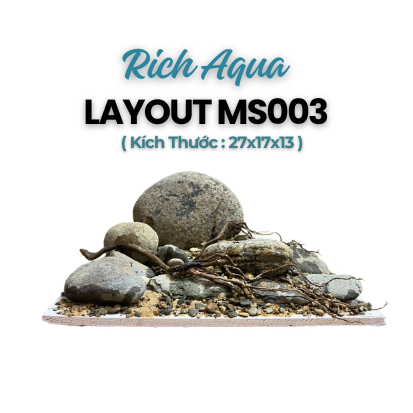 Layout đá cuội setup sẵn cho bể cá thủy sinh, bể cá 30x20x20 để bàn làm việc