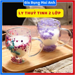 Cốc thuỷ tinh, ly thuỷ tinh hai lớp cao cấp, kèm hoa lá khô trang trí, dung tích 250-350ml