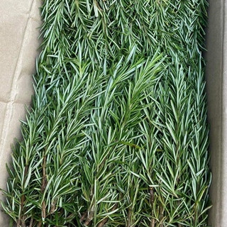 Fresh Rosemary Lá hương thảo tươi 100g