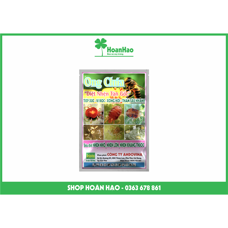 ONG CHÚA 100gr