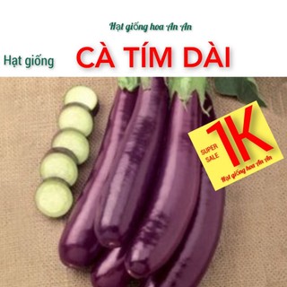 Deal 1k- 10 hạt giống cà tím dài siêu trái, độ thuần:>99%, xuất xứ: việt nam