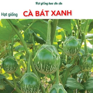 50 Hạt cà bát xanh da ếch | Quả giòn ngon