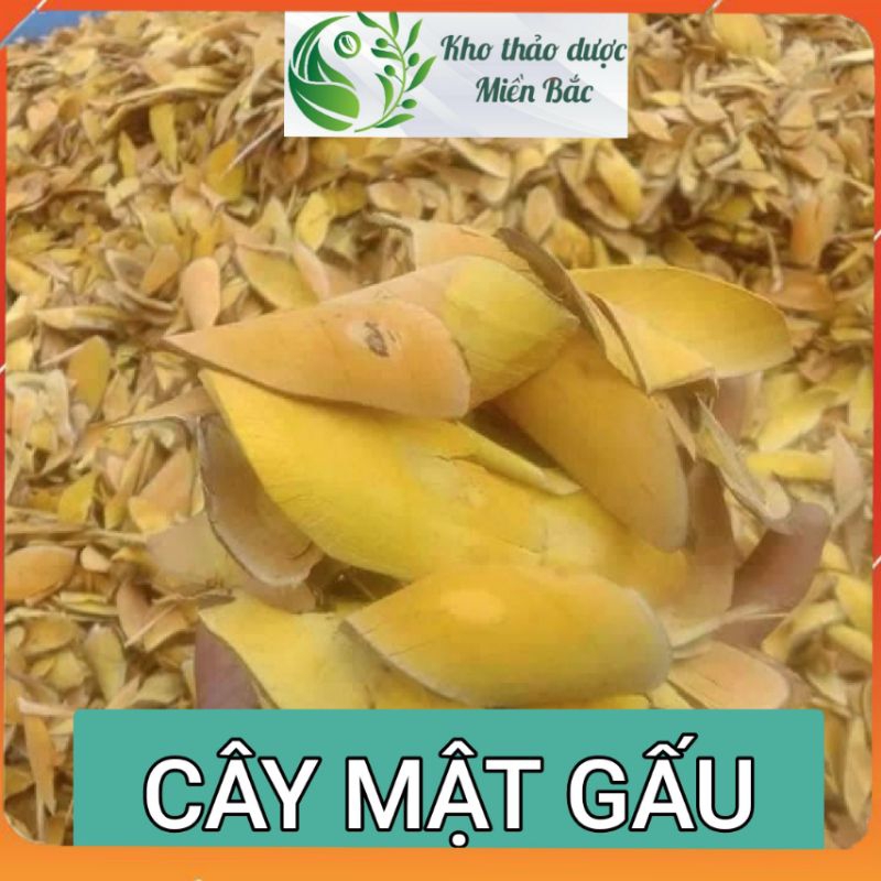 Hoàng Liên ô rô ( Cây mật gấu, cây lá đắng ) - Hàng mới, khô, sạch, không pha trộn