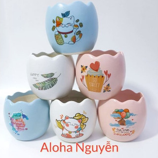 Chậu trứng decal trồng cây .sen đá .xương rồng .trang trí để bàn.