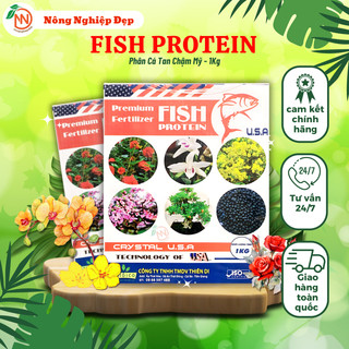 Phân cá tan chậm mỹ - đạm cá tan chậm mỹ hộp 1kg