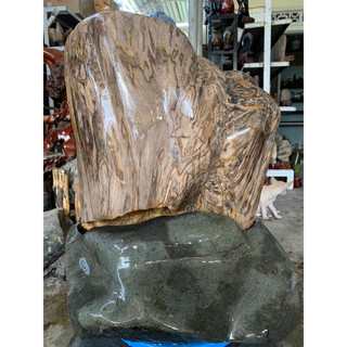 Gỗ hoá thạch.(ht1 , kl: 57kg, c: 47cm, r: 34cm,d:20cm)....(ght06)