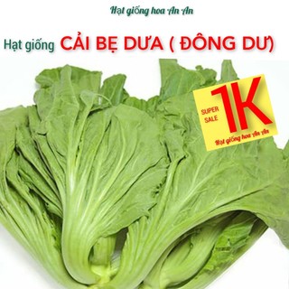 Deal 1k -100 hạt giống rau cải bẹ dưa | tỷ lệ nảy mầm > 90%