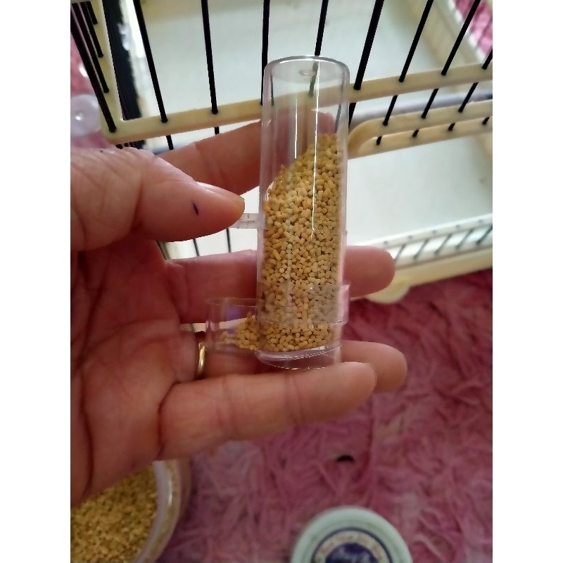 Cóng Ăn Uống Tự Động Chim Nhỏ