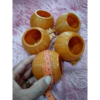 Cóng ăn uống cu gáy