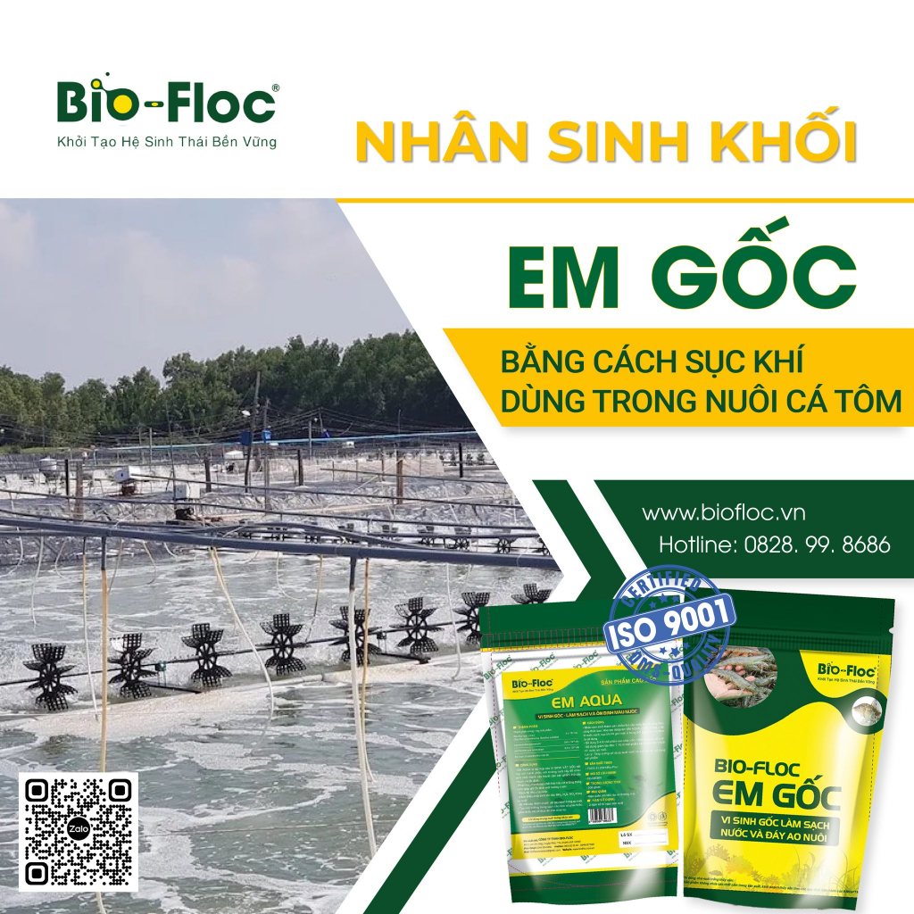 EM gốc bột Bio-floc vi sinh gốc làm sạch nước và đáy ao nuôi