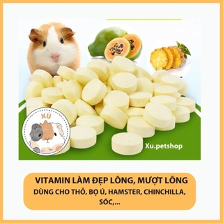 Vitamin làm đẹp lông, tiêu lông cho hamster, Bọ ú, thỏ, sóc, Chinchilla – Gau.petshop