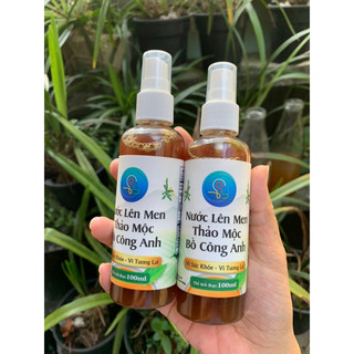 Vi sinh bồ công anh