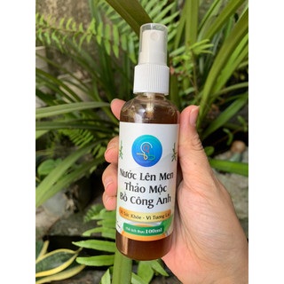 Vi sinh bồ công anh