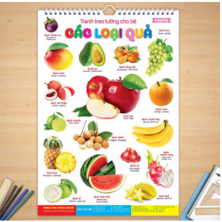 Bộ Tranh Treo Tường Cho Bé 14 chủ đề (Tặng kèm 05 móc dán tường )