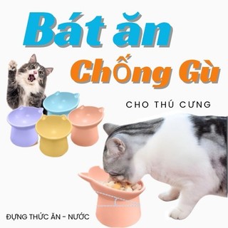 Chén (bát) chống gù lưng cho chó mèo - T3 PETS SHOP