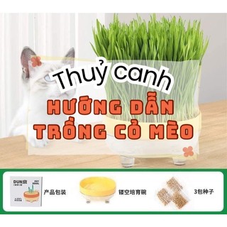 bộ trồng cỏ mèo -ngăn ngừa búi lông và bổ sung chất xơ cho mèo